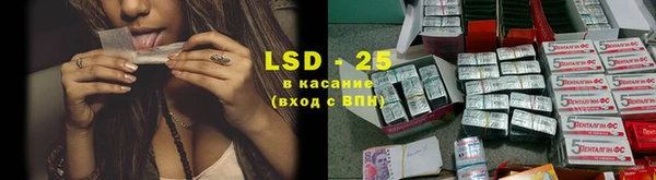 гашик Белокуриха