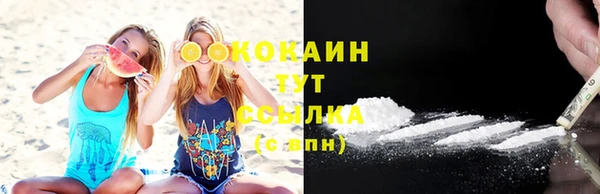 гашик Белокуриха