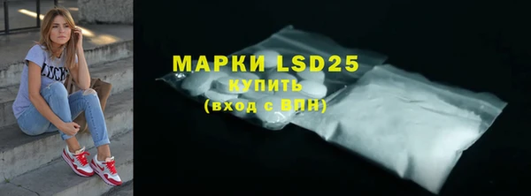 гашик Белокуриха
