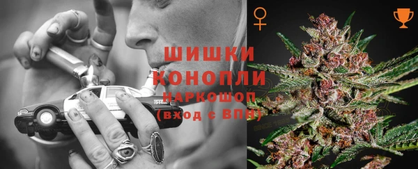 гашик Белокуриха