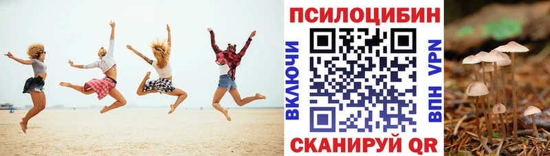Купить закладки  Нарткала  Псилоцибиновые грибы Magic Shrooms 